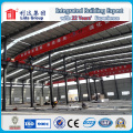 Almacén de estructura de acero grande de encargo barato de alta calidad